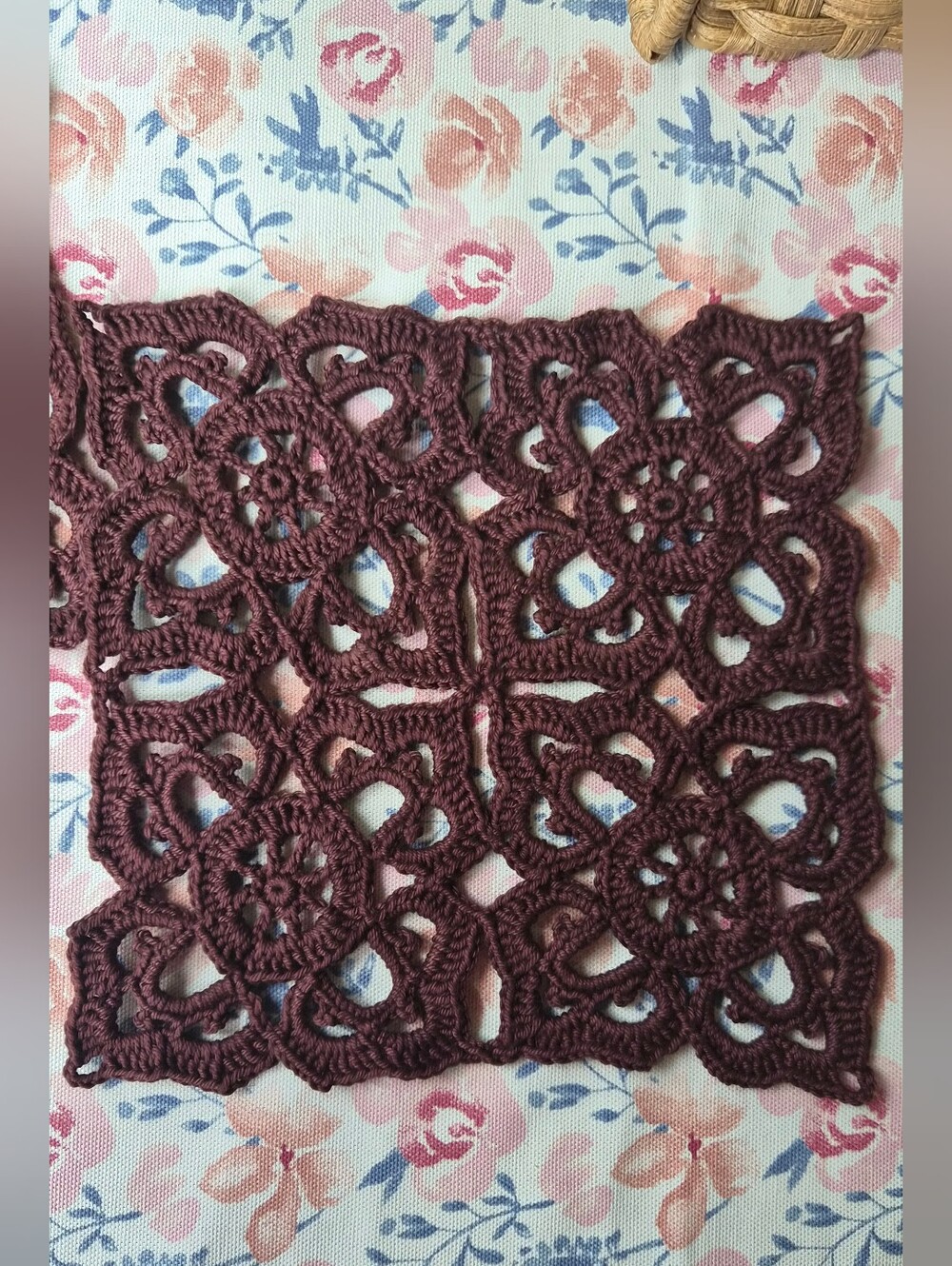 Crochet Doilies Pair